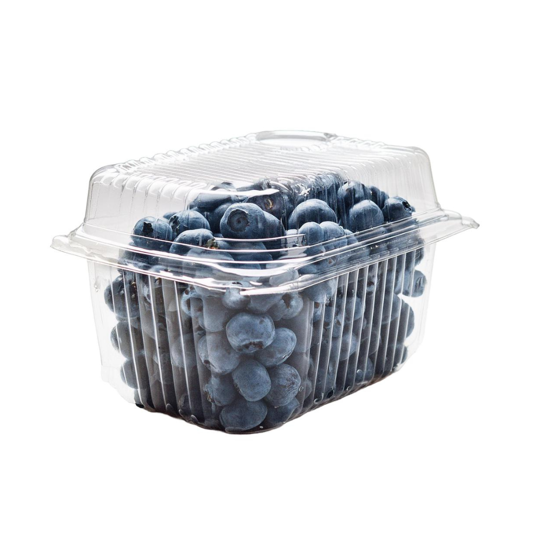 Arándanos Frescos – 508 g (1.12 lb)